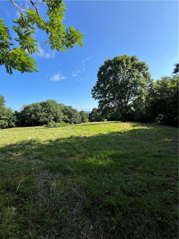 Tbd Nc 6065  Jasper AR 72641 photo