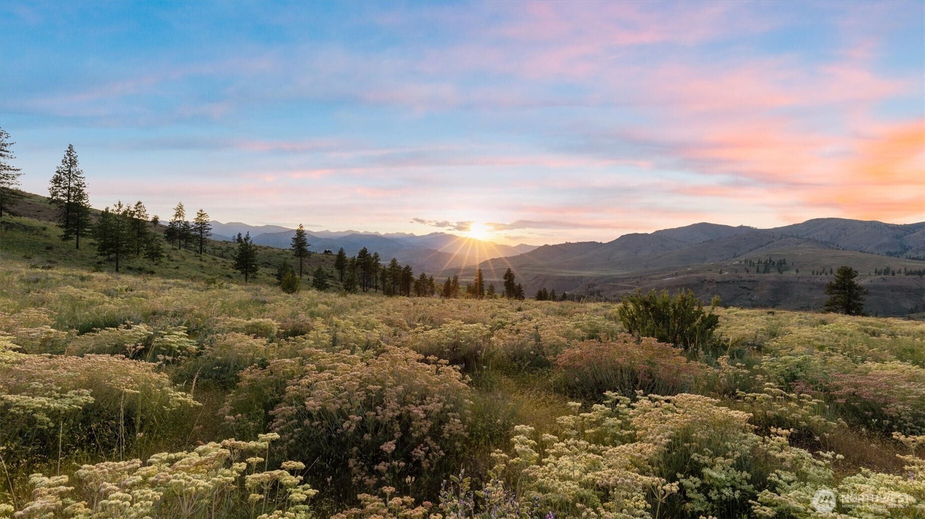 Property Photo:  767  Bill Shaw Road  WA 98846 