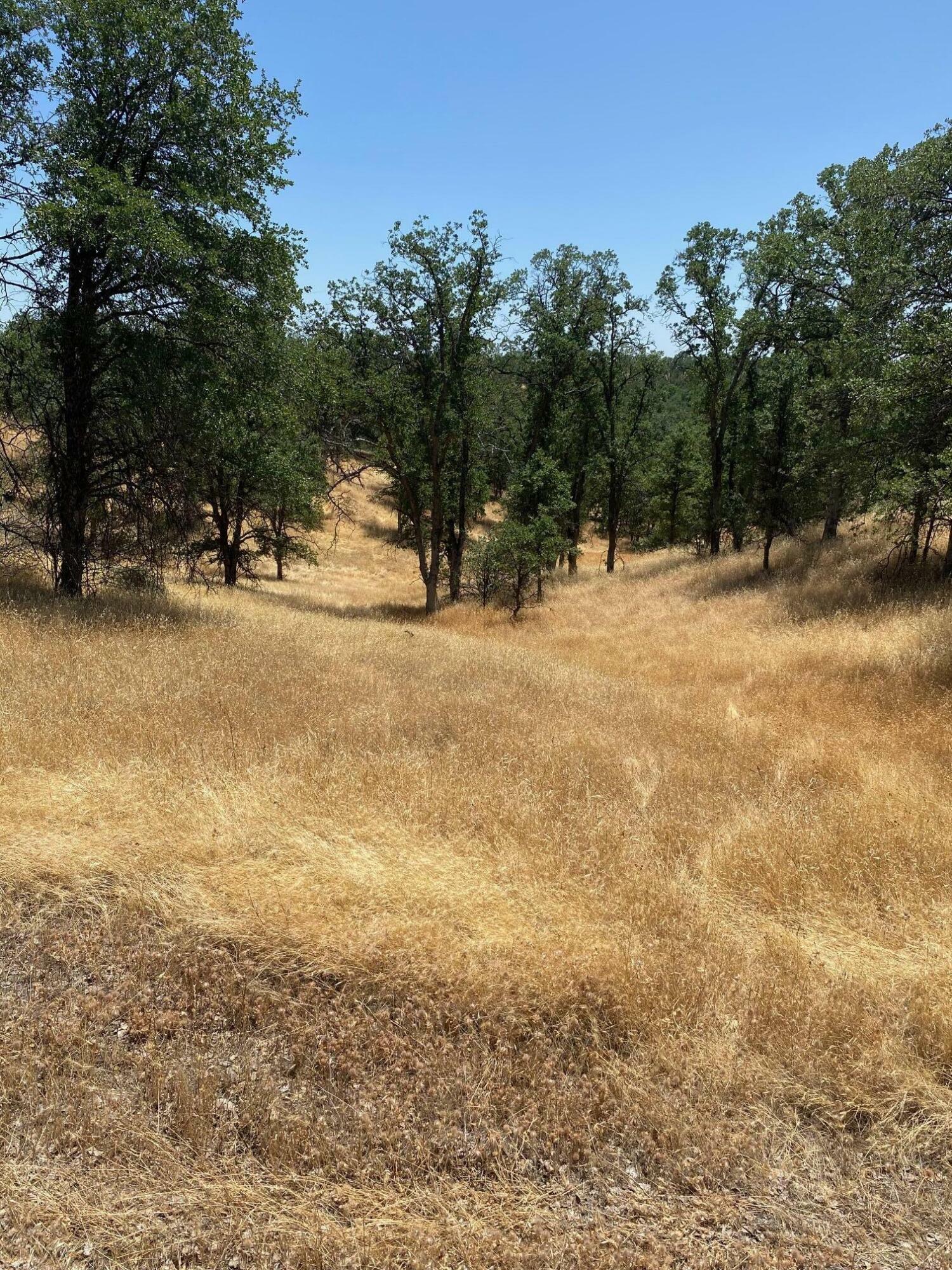 Property Photo:  Quail Ridge Road  CA 96022 