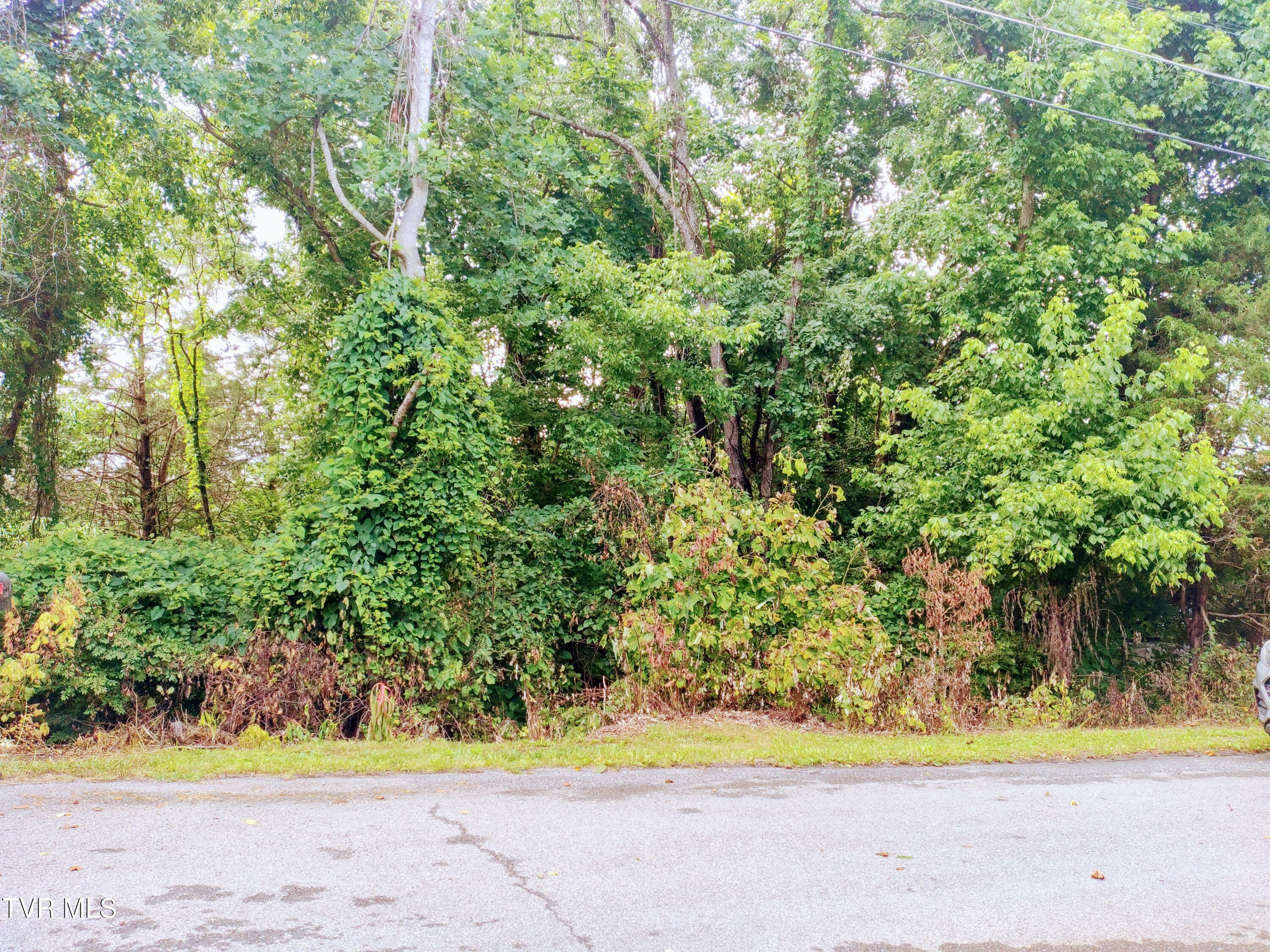 Property Photo: Lot 10 Highland Circle TN 37618