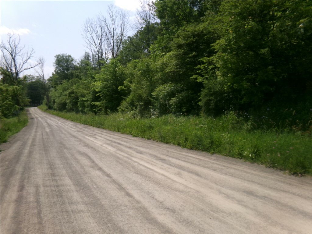 Property Photo: 00 Gridleyville Road NY 14883