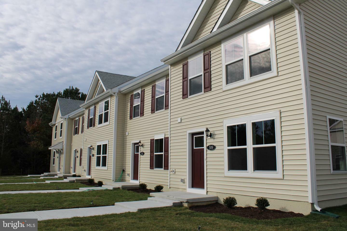 Property Photo: 517 Merganser Way MD 21613