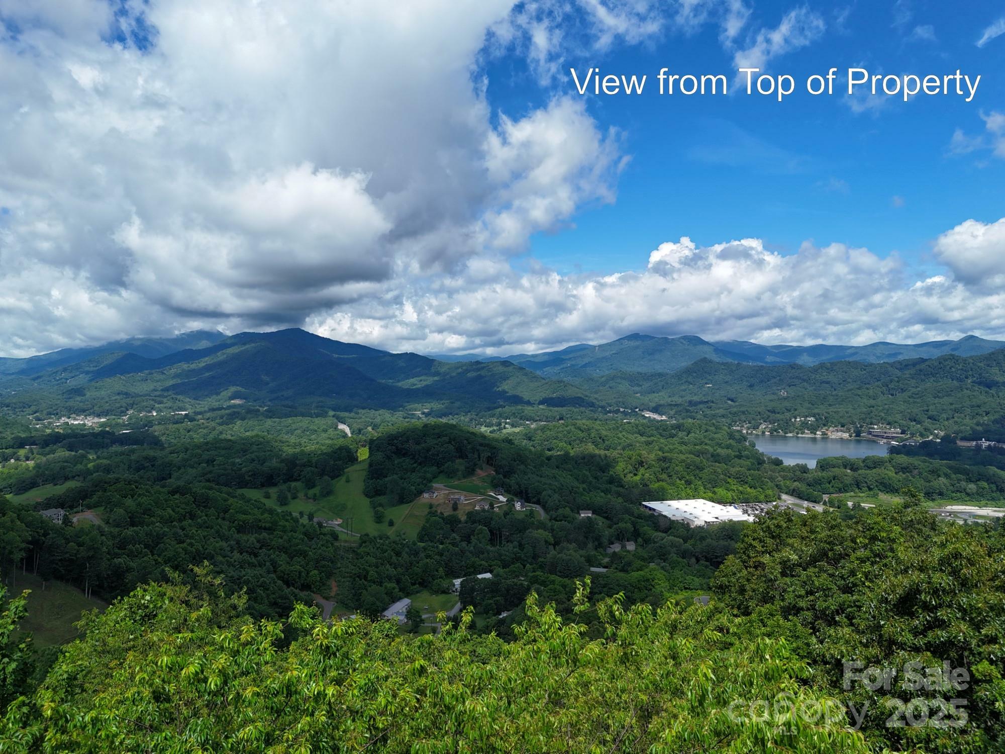 Property Photo:  00 Liner Cove Road 1  NC 28786 
