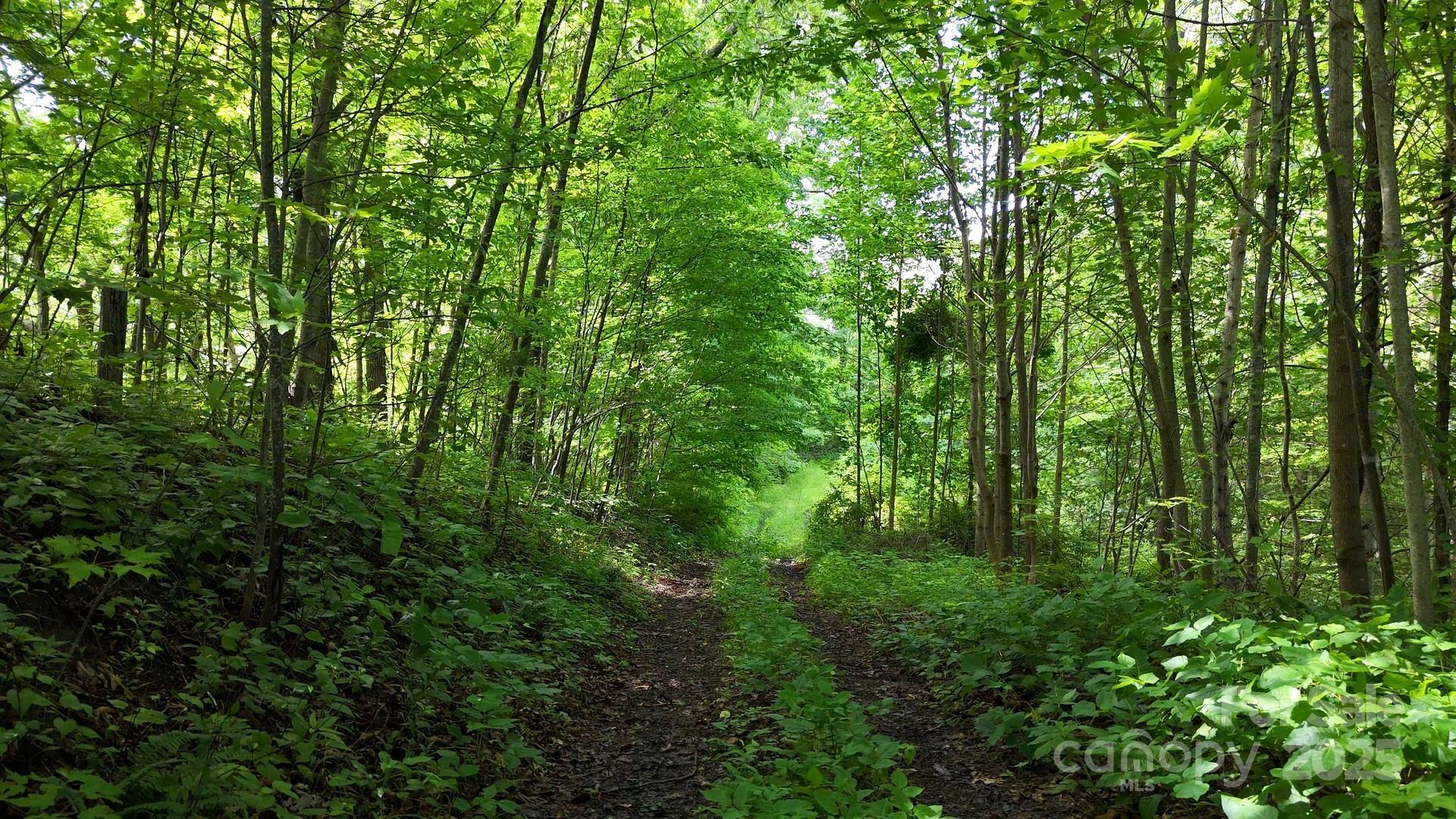 Property Photo:  00 Liner Cove Road 2  NC 28786 