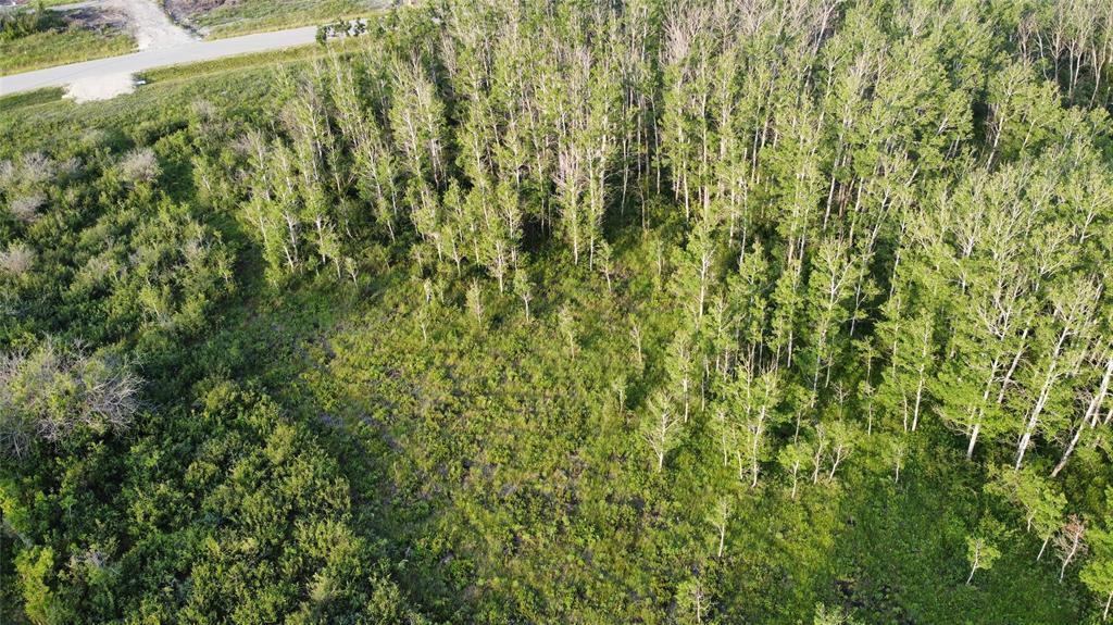 Photo de la propriété:  333 Prairie Road  MB R5G 2W2 