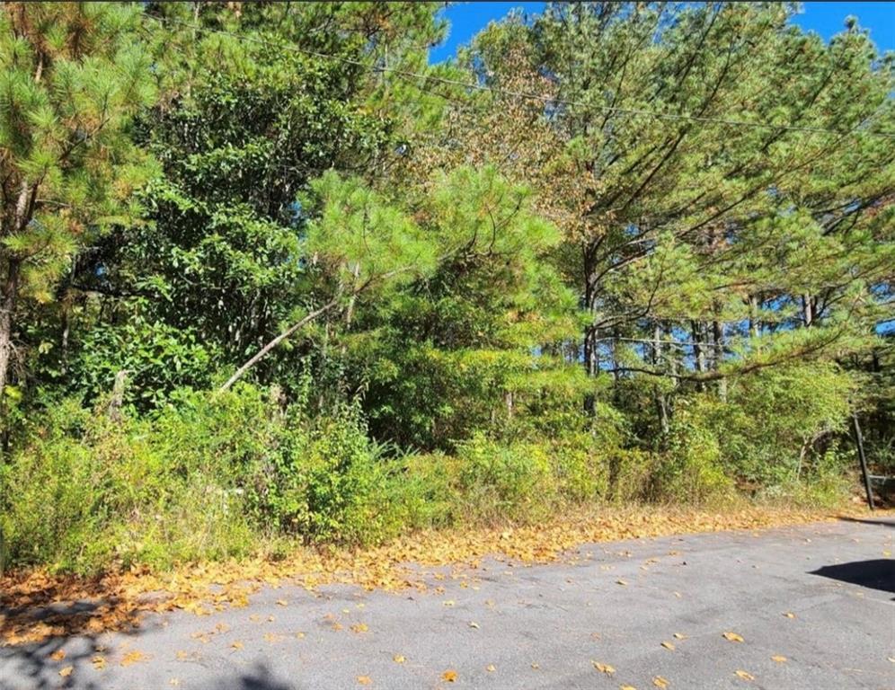 Property Photo: 0 Scarlett Lane GA 30161