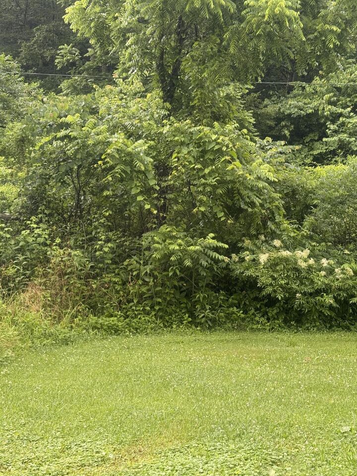 Property Photo:  293 Ora Stevens Road  KY 41171 