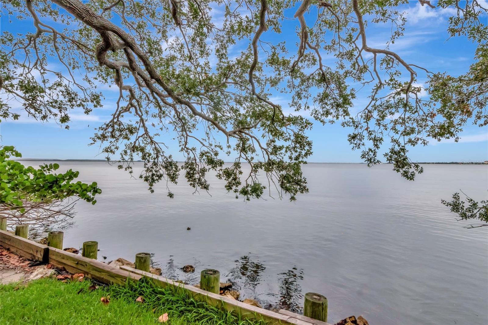 Property Photo:  6220 Bayshore Boulevard  FL 33611 