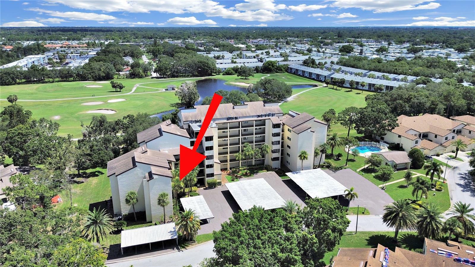 Property Photo:  700 Starkey Road 311  FL 33771 