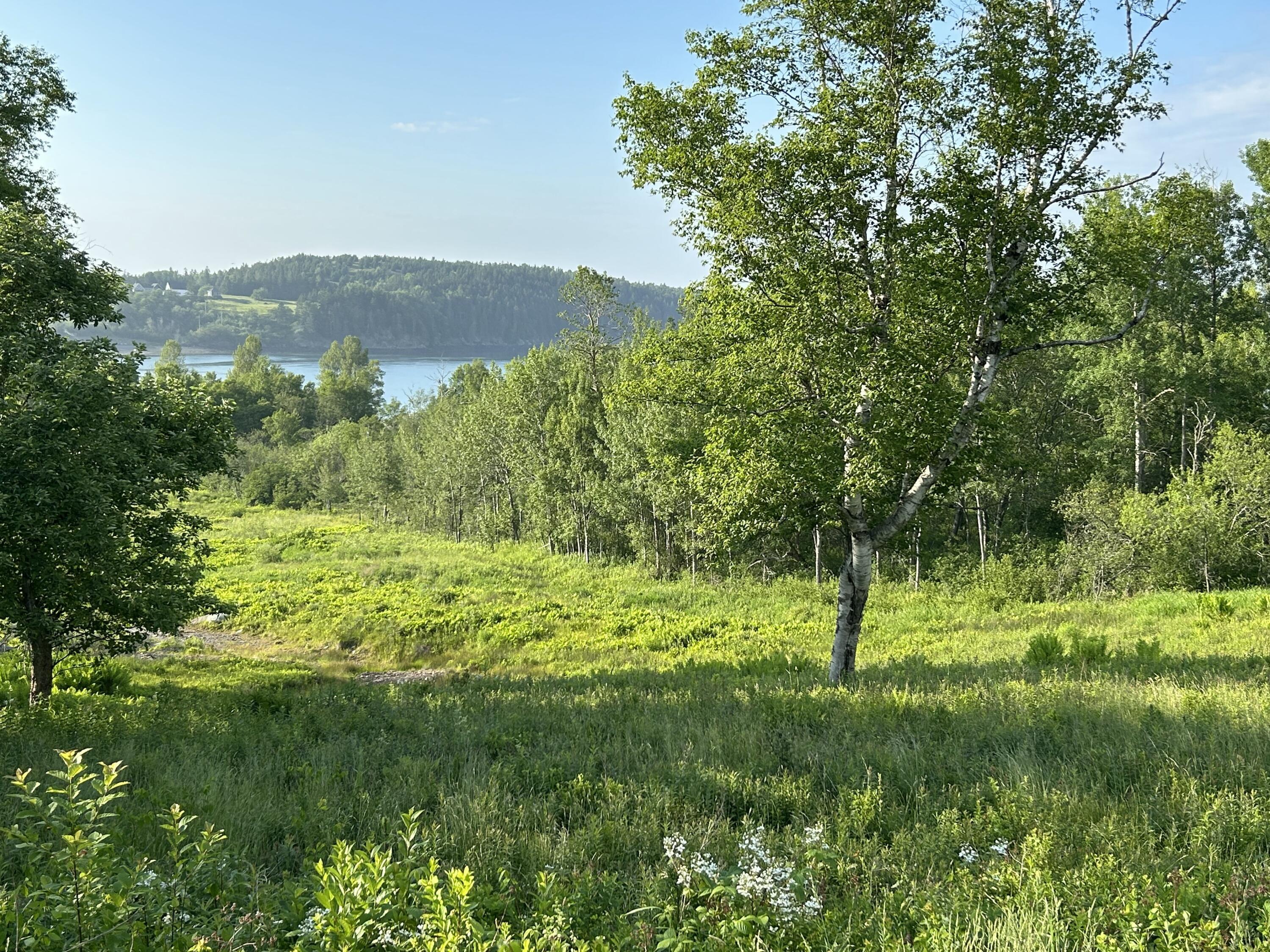 Property Photo:  27 Redoubt Hill Road  ME 04631 