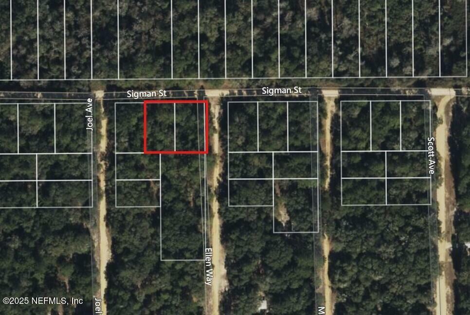 Property Photo: 0 Sigman Street FL 32140