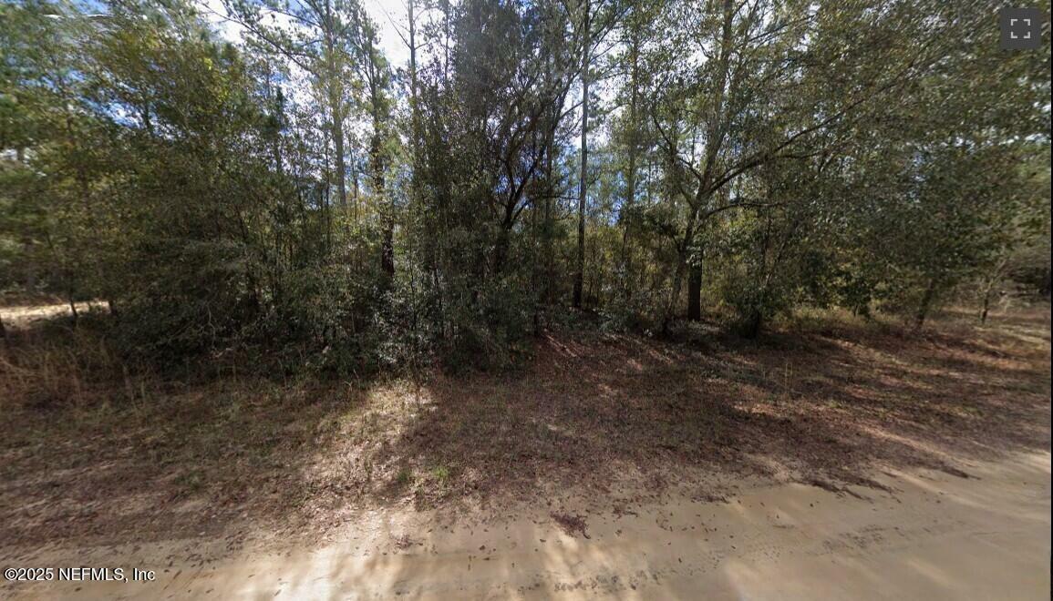 Property Photo: 0 Sigman Street FL 32140