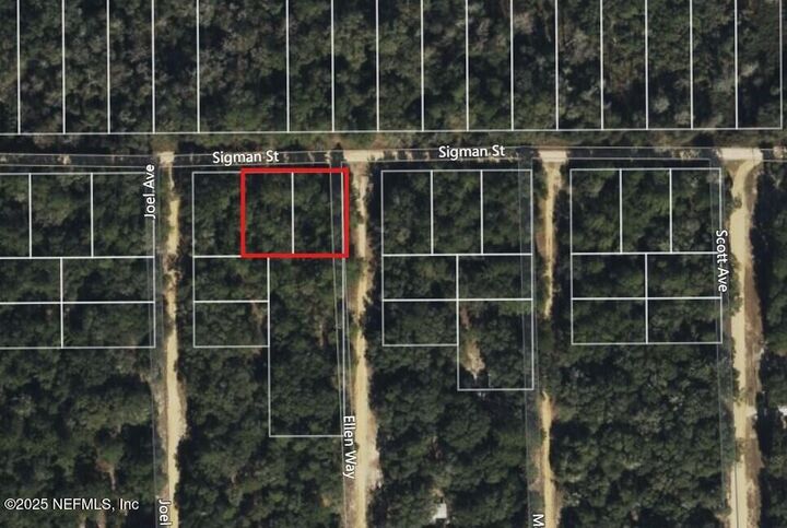 Property Photo:  0 Sigman Street  FL 32140 