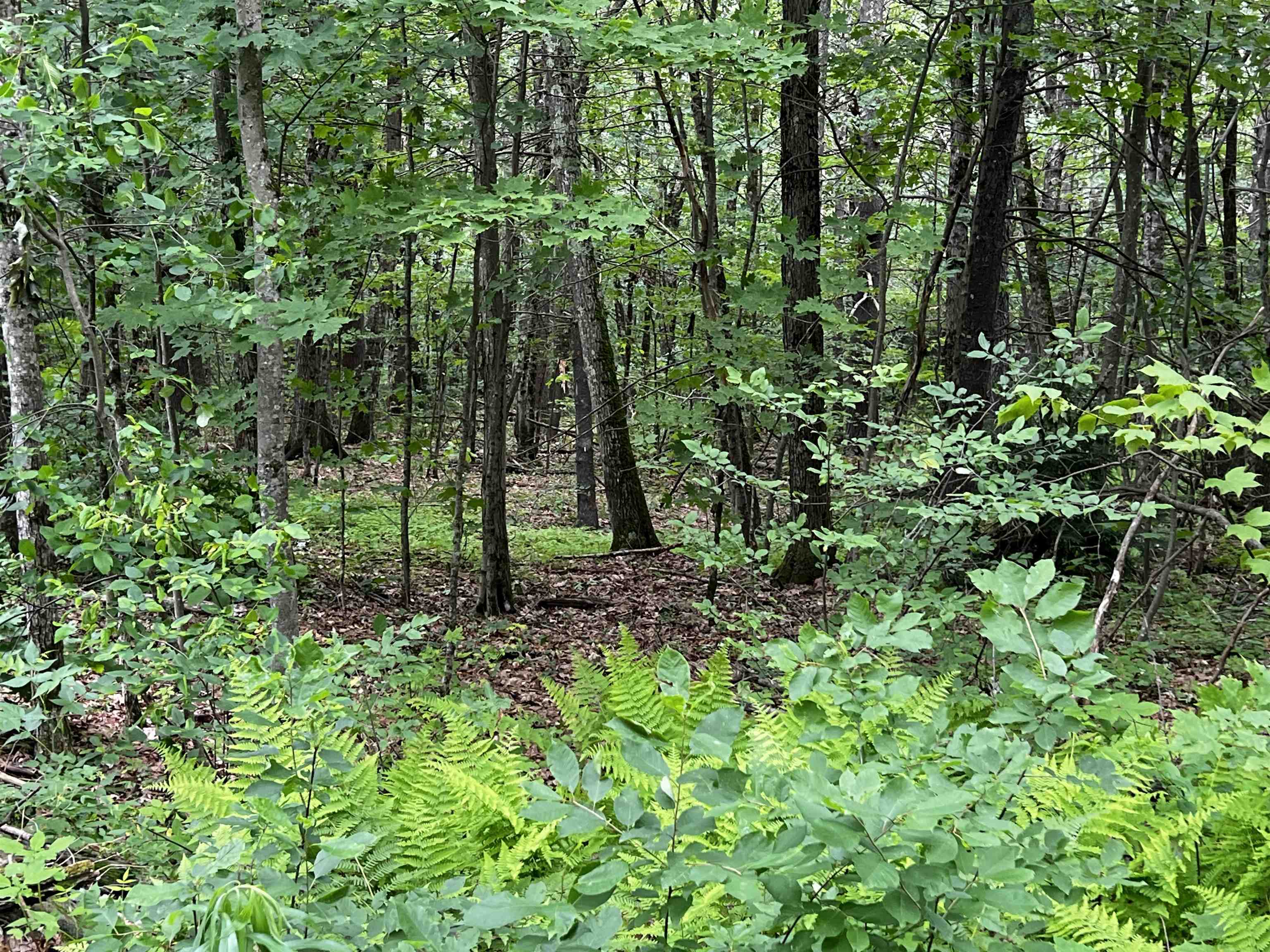 Property Photo:  0 Carpenter Hill Road  NH 03436 