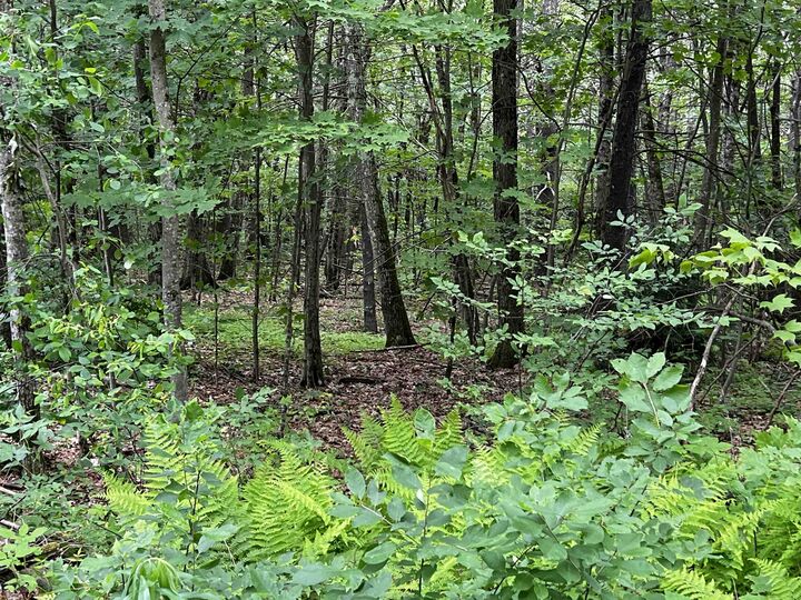 Property Photo: 0 Carpenter Hill Road NH 03436