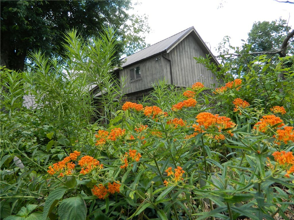 Property Photo: 13364 Ventris Road AR 72732