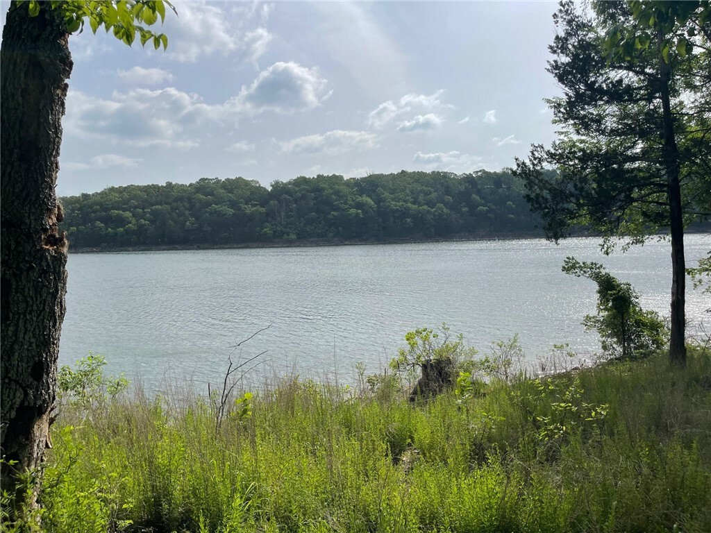 Property Photo:  28190 Willow Lane  MO 65641 