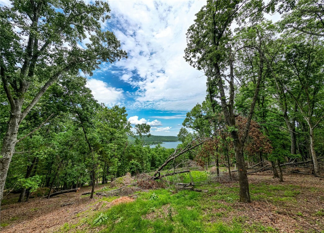 Property Photo: Tract 2 Cedar Rail Ridge Whispering Hills AR 72732