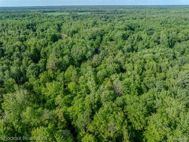 Property Photo: #0015 V/L Birch Lane MI 48768