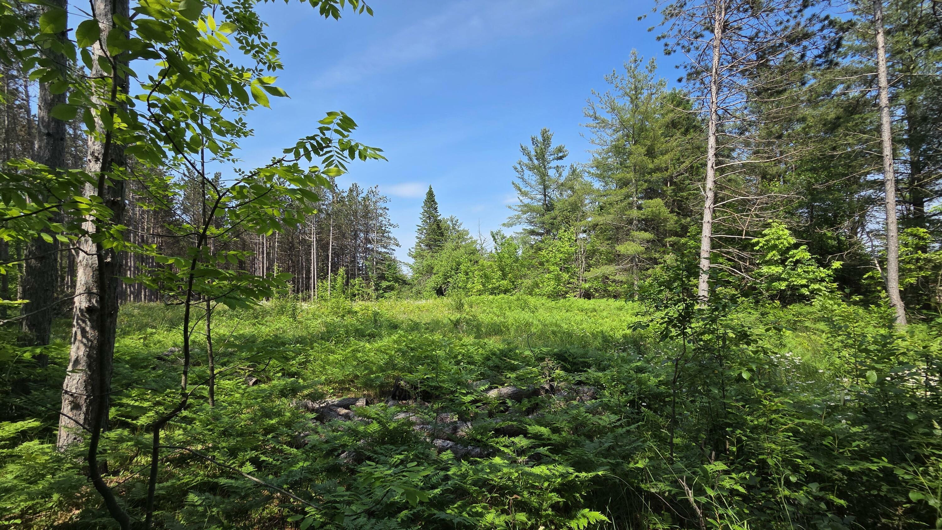 Property Photo: 18862 N Old Mackinaw Road MI 49701