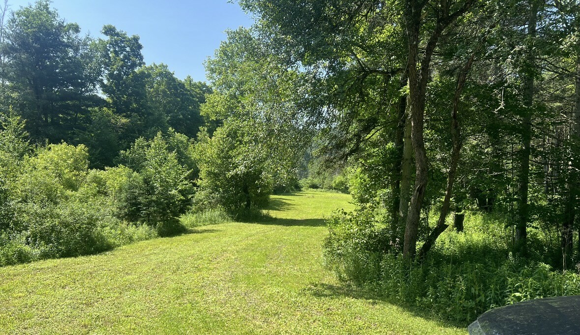 Property Photo: 538 Hargrave Road Road NY 13865