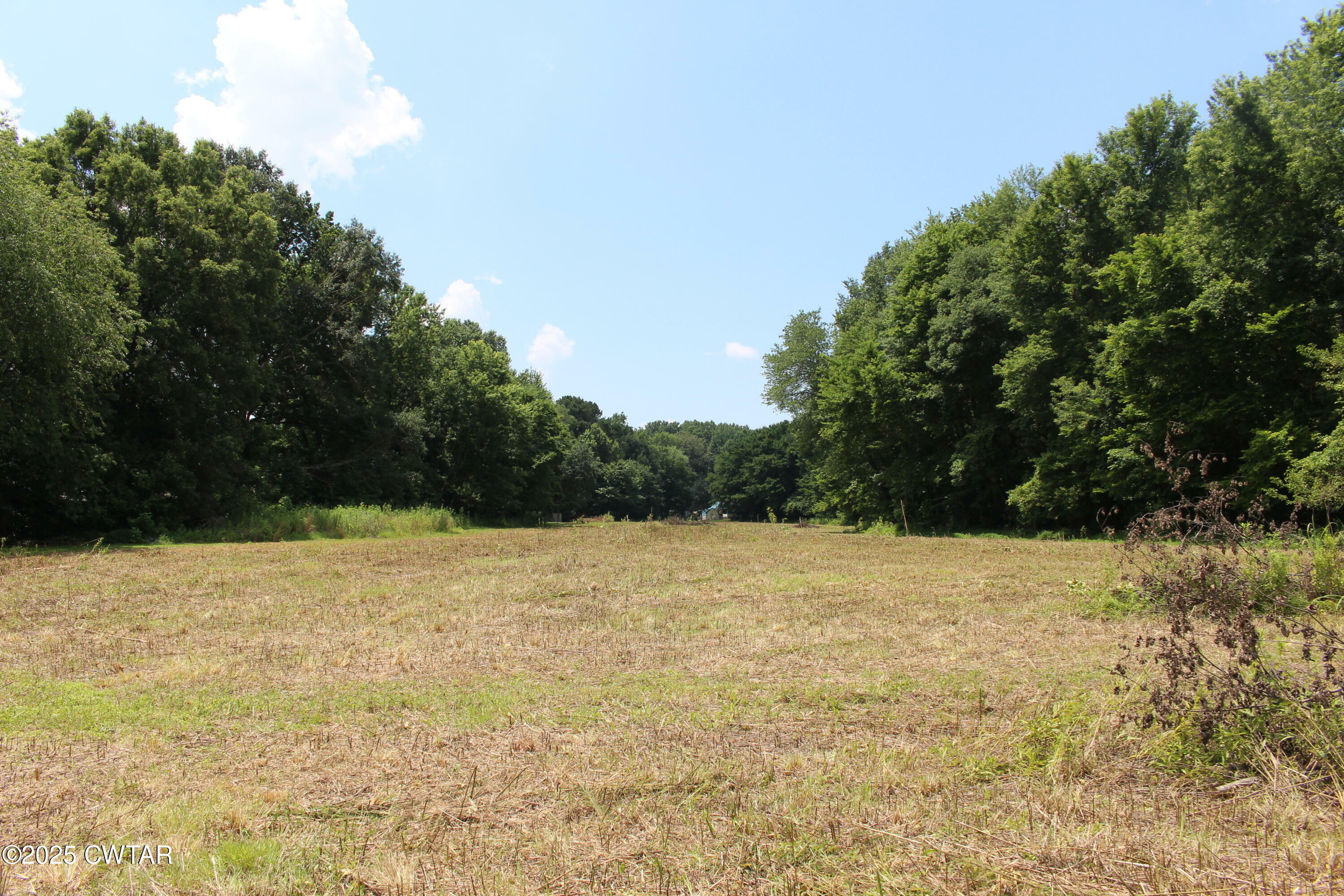 0 Wild Valley Lane  Jackson TN 38305 photo