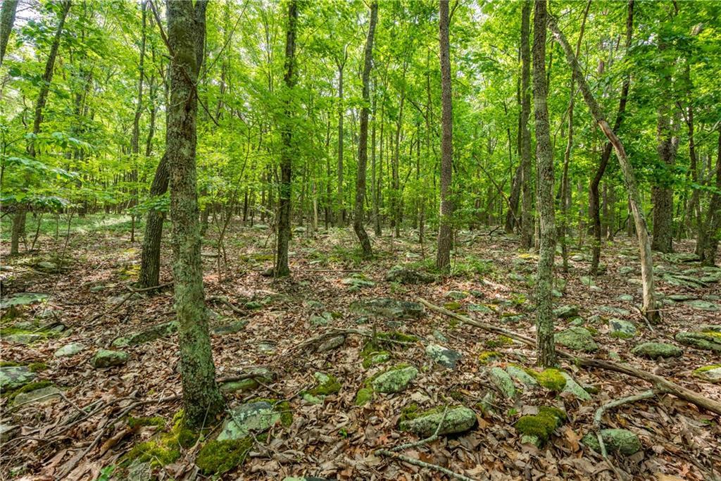 Property Photo: 307 Stonehaven Court GA 30143