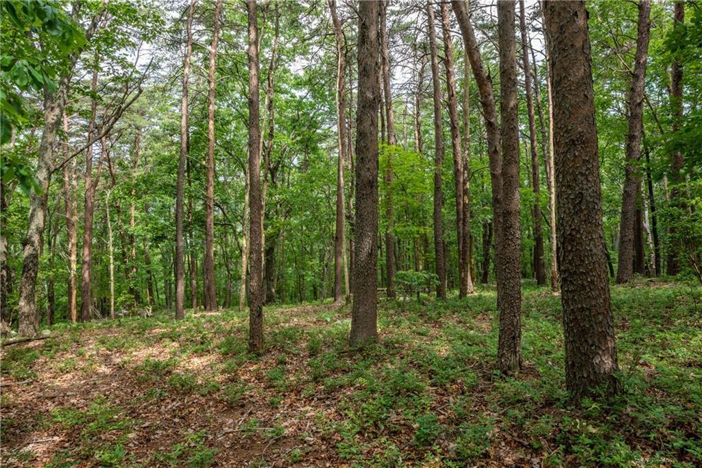 Property Photo: 206R Mystic Trail Lane GA 30143