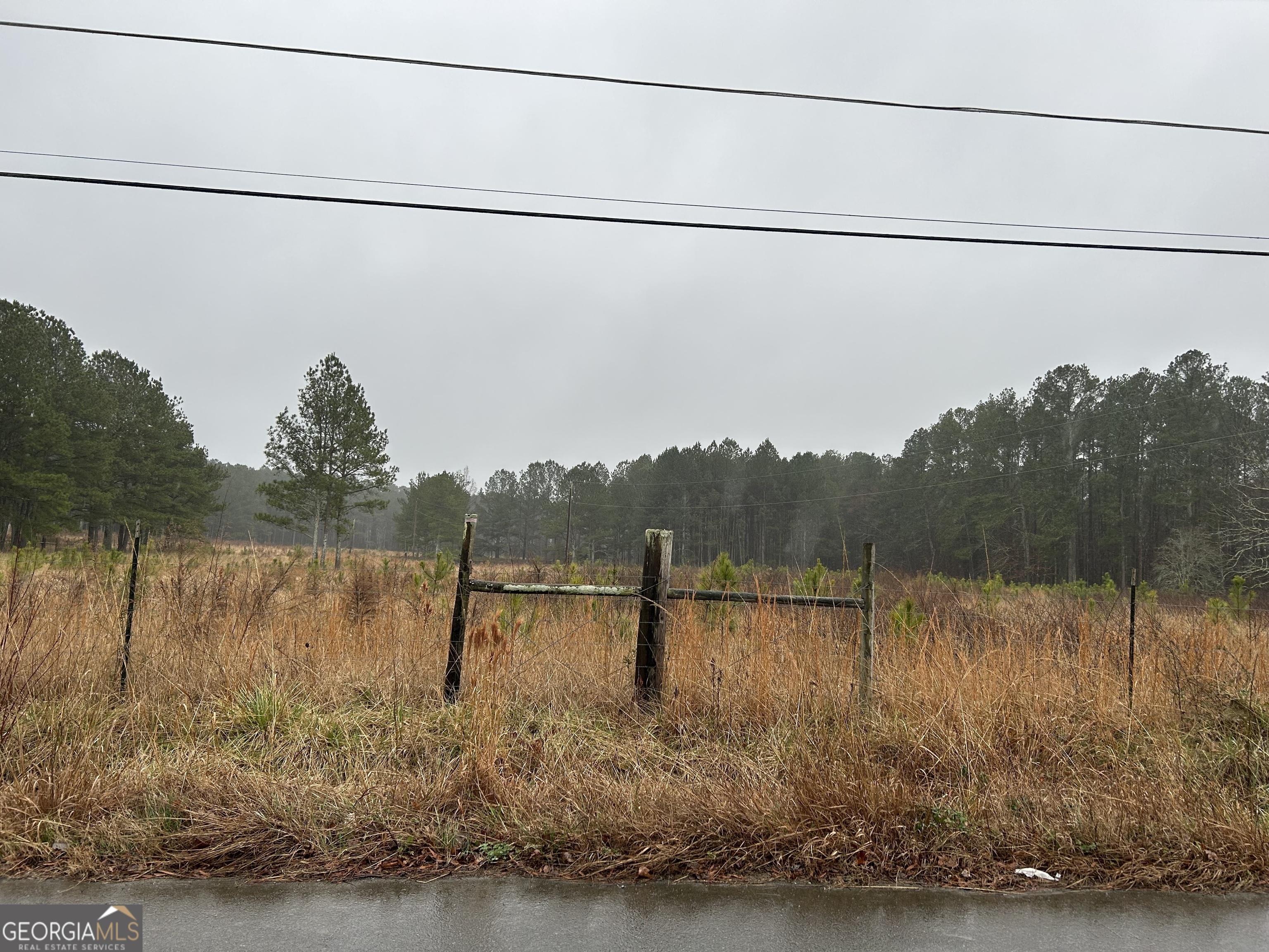Property Photo: 99 Central Grove Road GA 30165