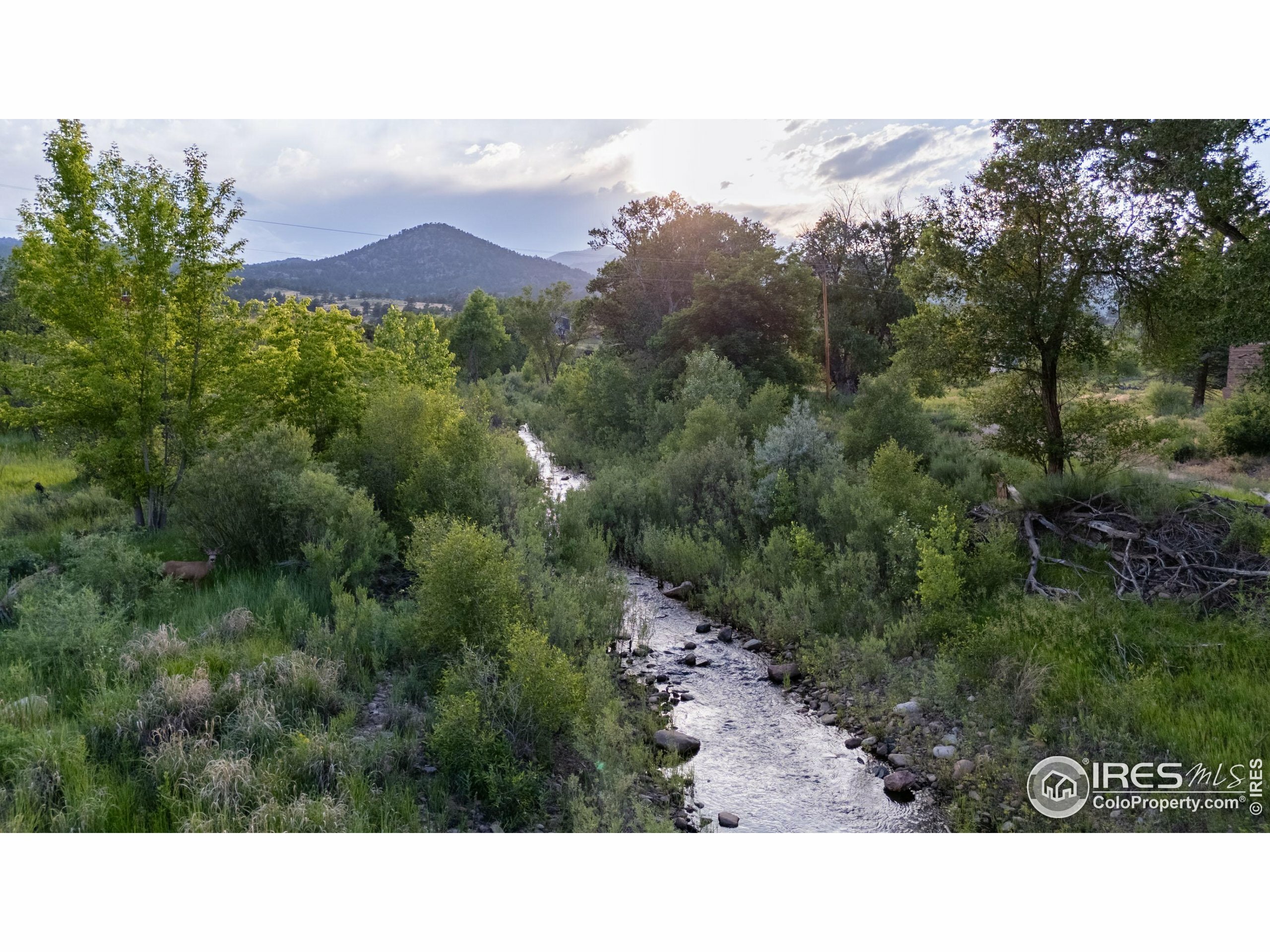 Property Photo: 108 Lonestar Rd CO 80540