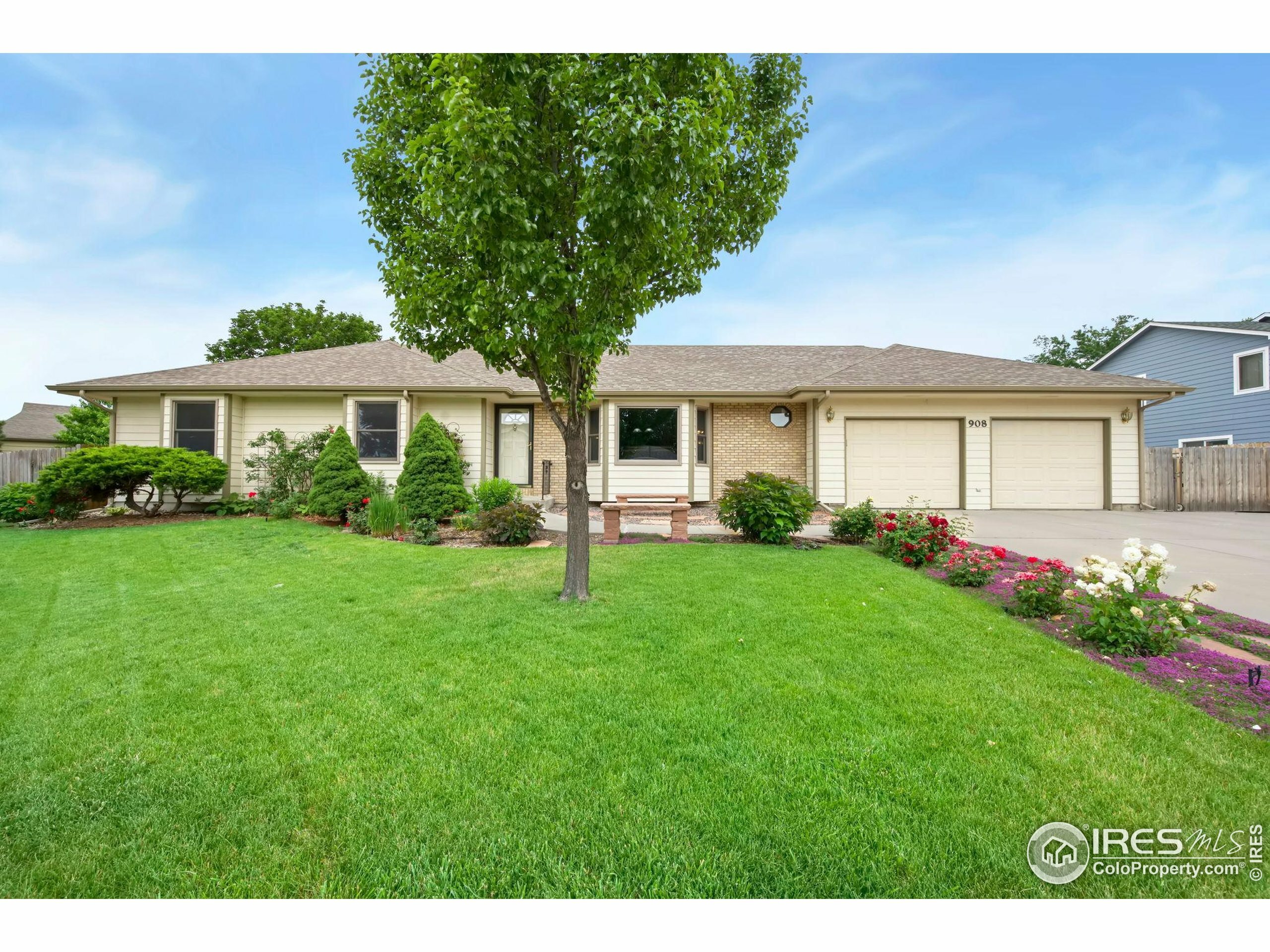 908 Pine Dr  Windsor CO 80550 photo