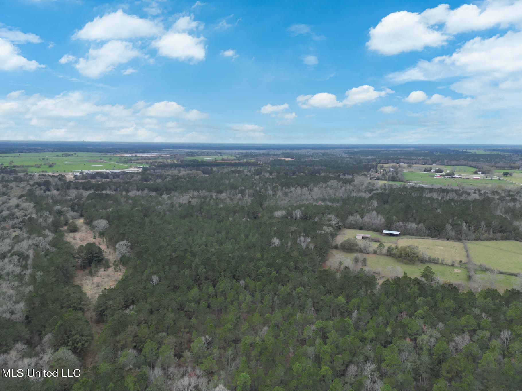 Property Photo:  Highway 43 Parcel 1  MS 39556 