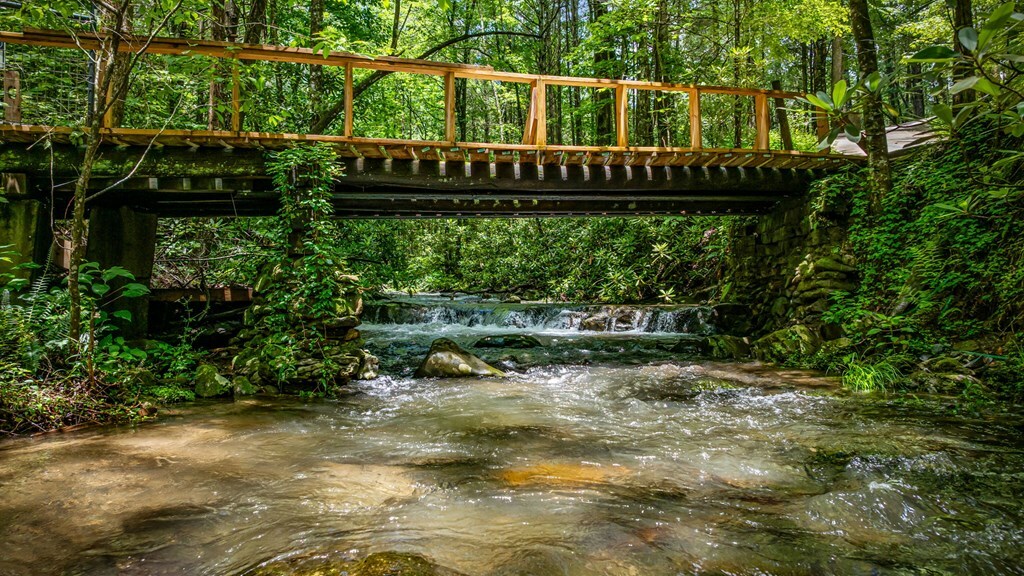 Property Photo: 10323 Grassy Mountain Road GA 30540