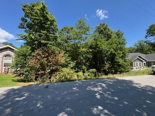 Property Photo: Lot 19 Harrington Drive AR 72714