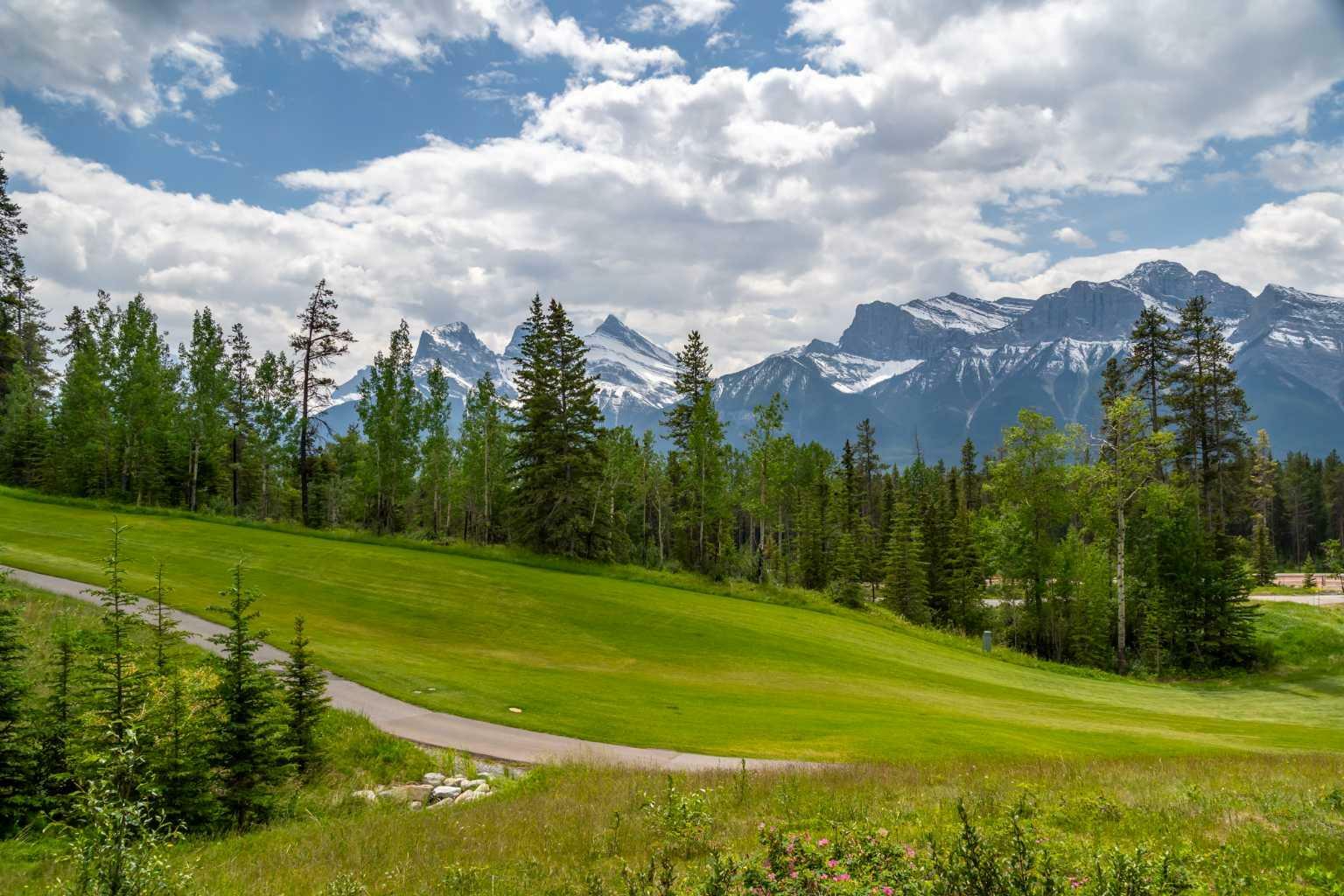 Property Photo:  129 Silvertip Ridge  AB T1W 3A8 