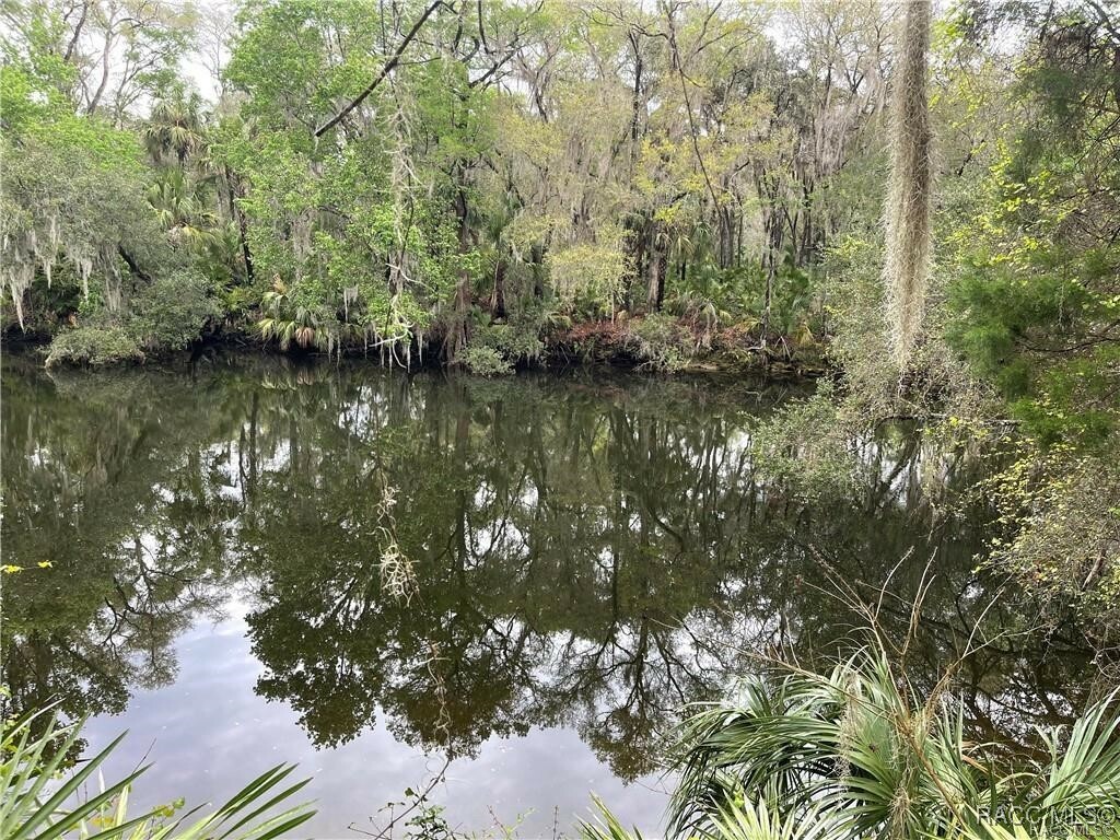 Property Photo: 10574 Dawnflower Point FL 34428