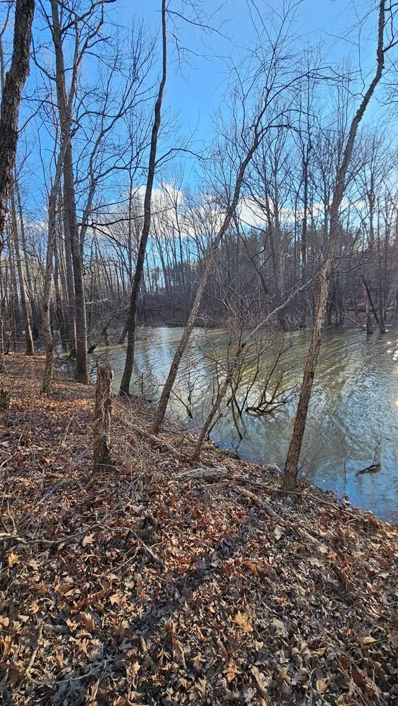 Property Photo: Lot 40 Riverview Avenue VA 24529