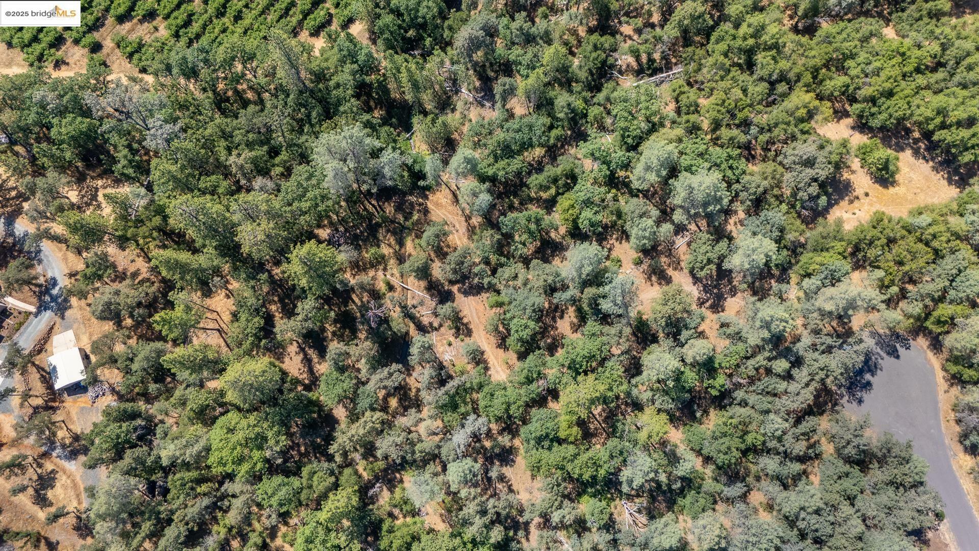 Property Photo: 14464 Lorraine Lane CA 95370