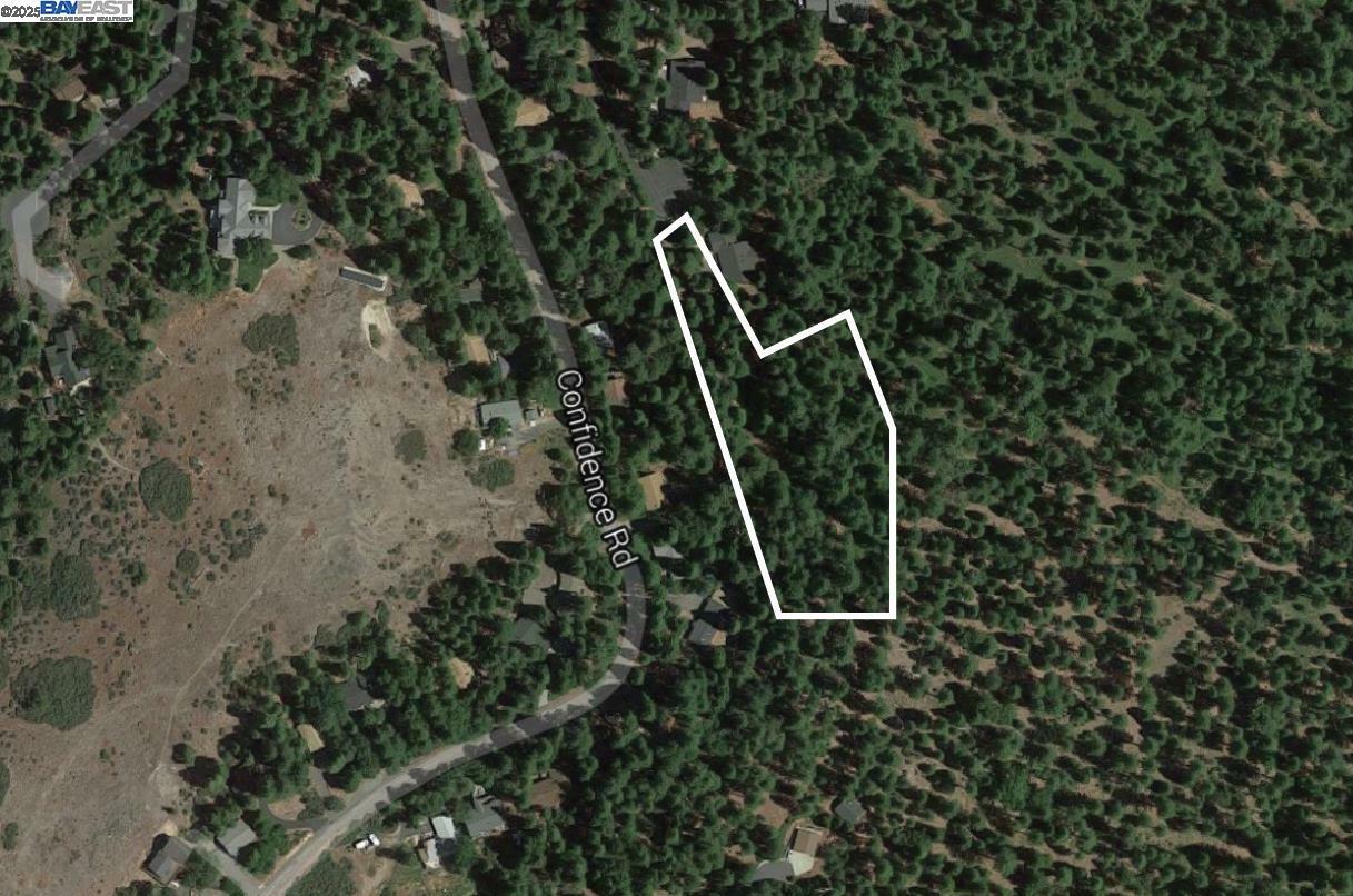 Eastview Drive  Twain Harte CA 95383 photo
