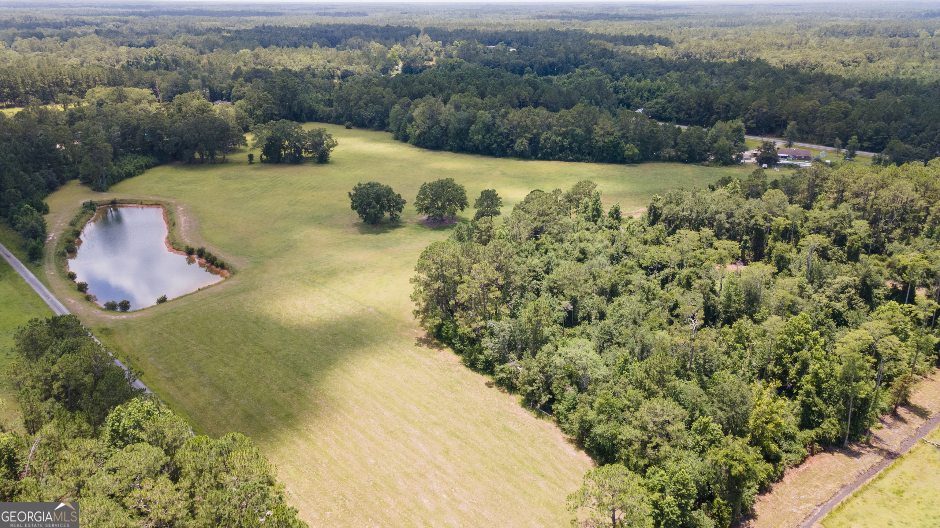 Property Photo: 35+ Acres Wells Road GA 31313