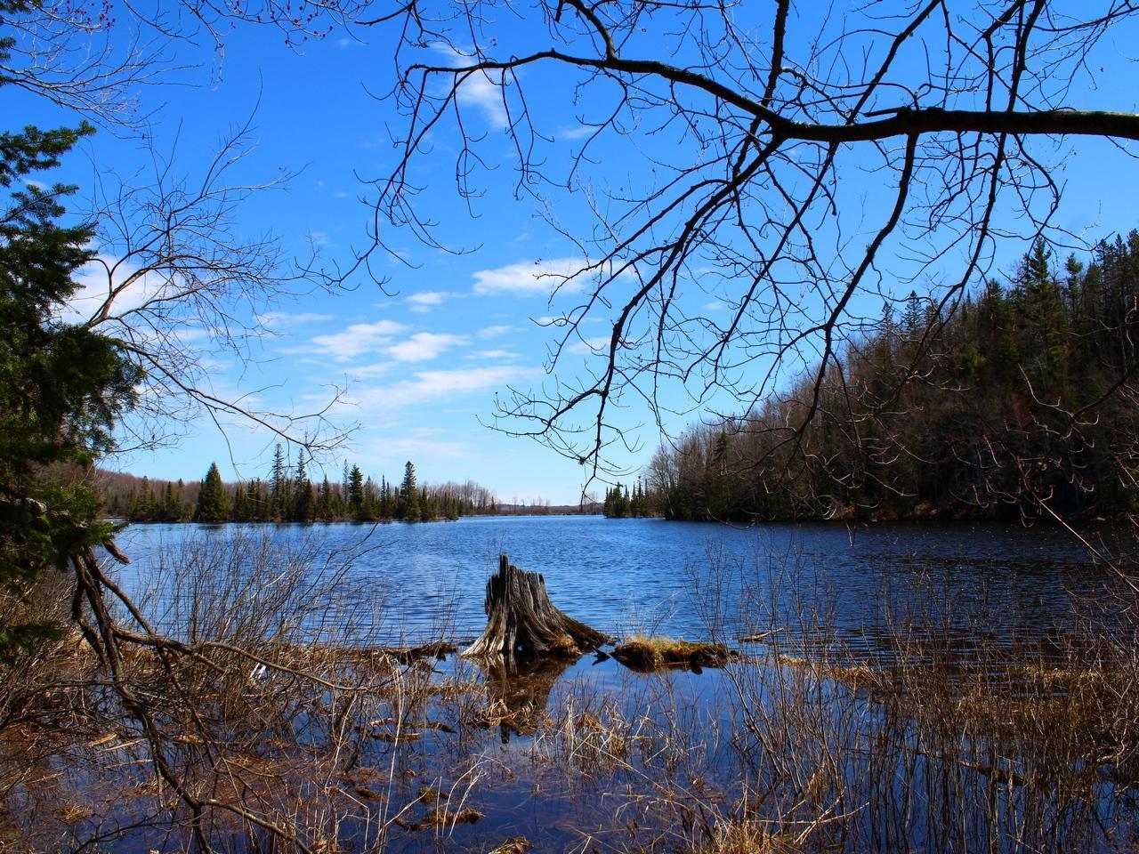 Property Photo:  Off Spring Camp Rd  WI 54550 