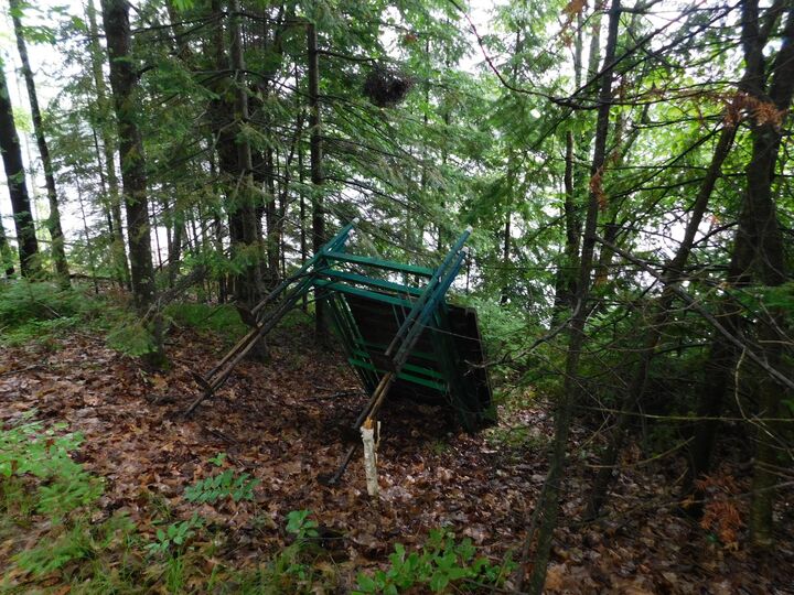 Property Photo: N9009 Deer Tr WI 54487
