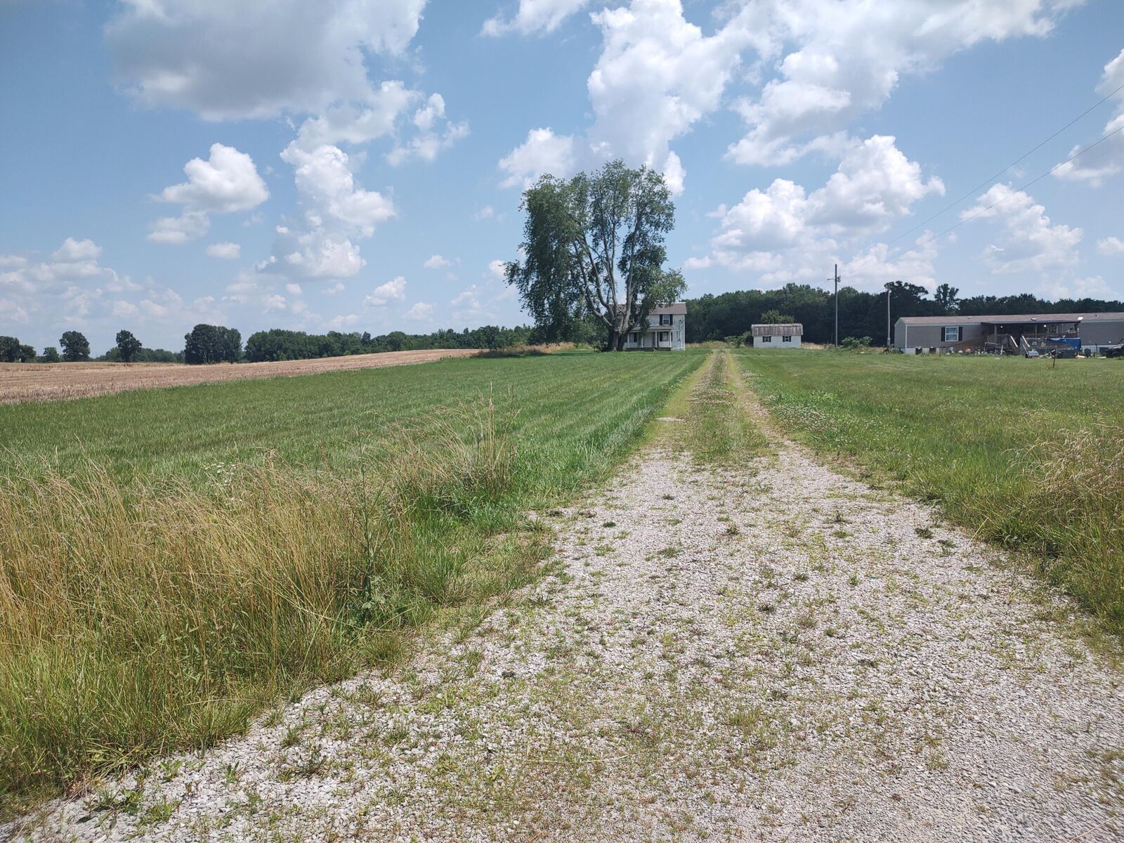 Property Photo:  1465 Floyd Switch Road  KY 42567 