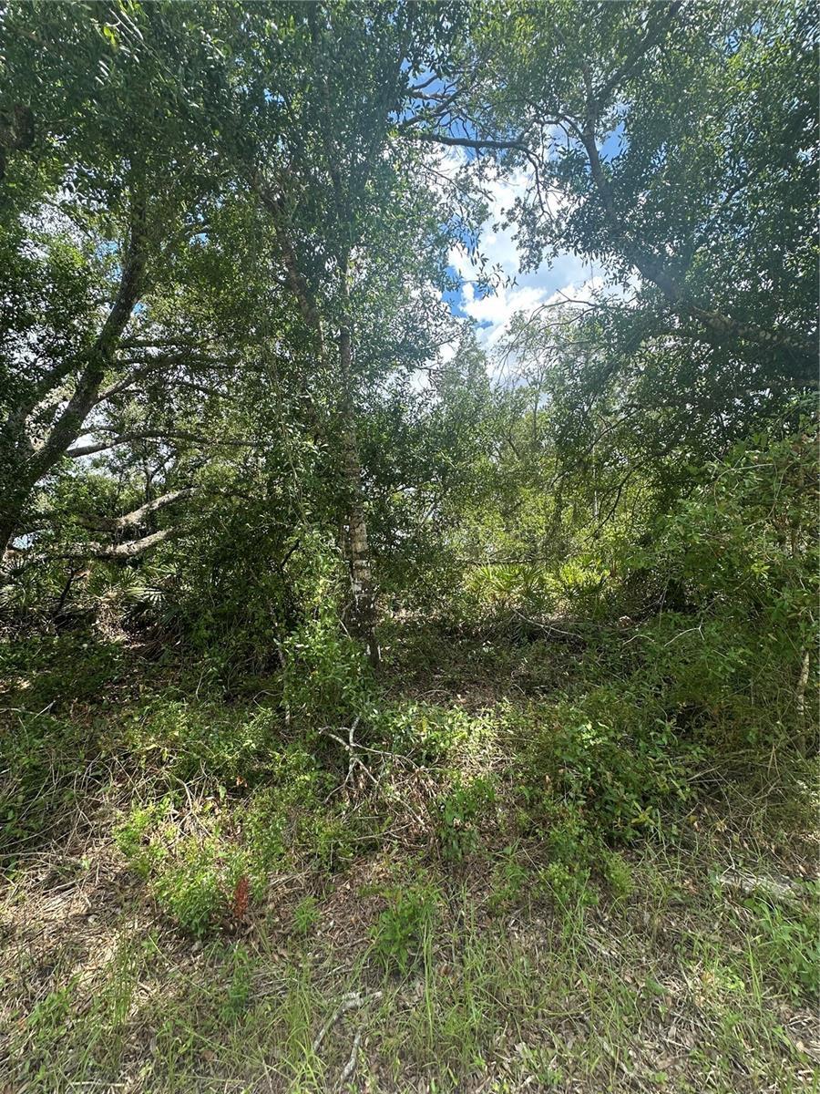 Property Photo: Henrietta Avenue FL 34291