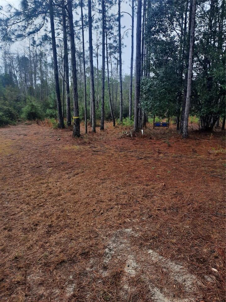 Property Photo: 540 SW 326th Avenue FL 32359