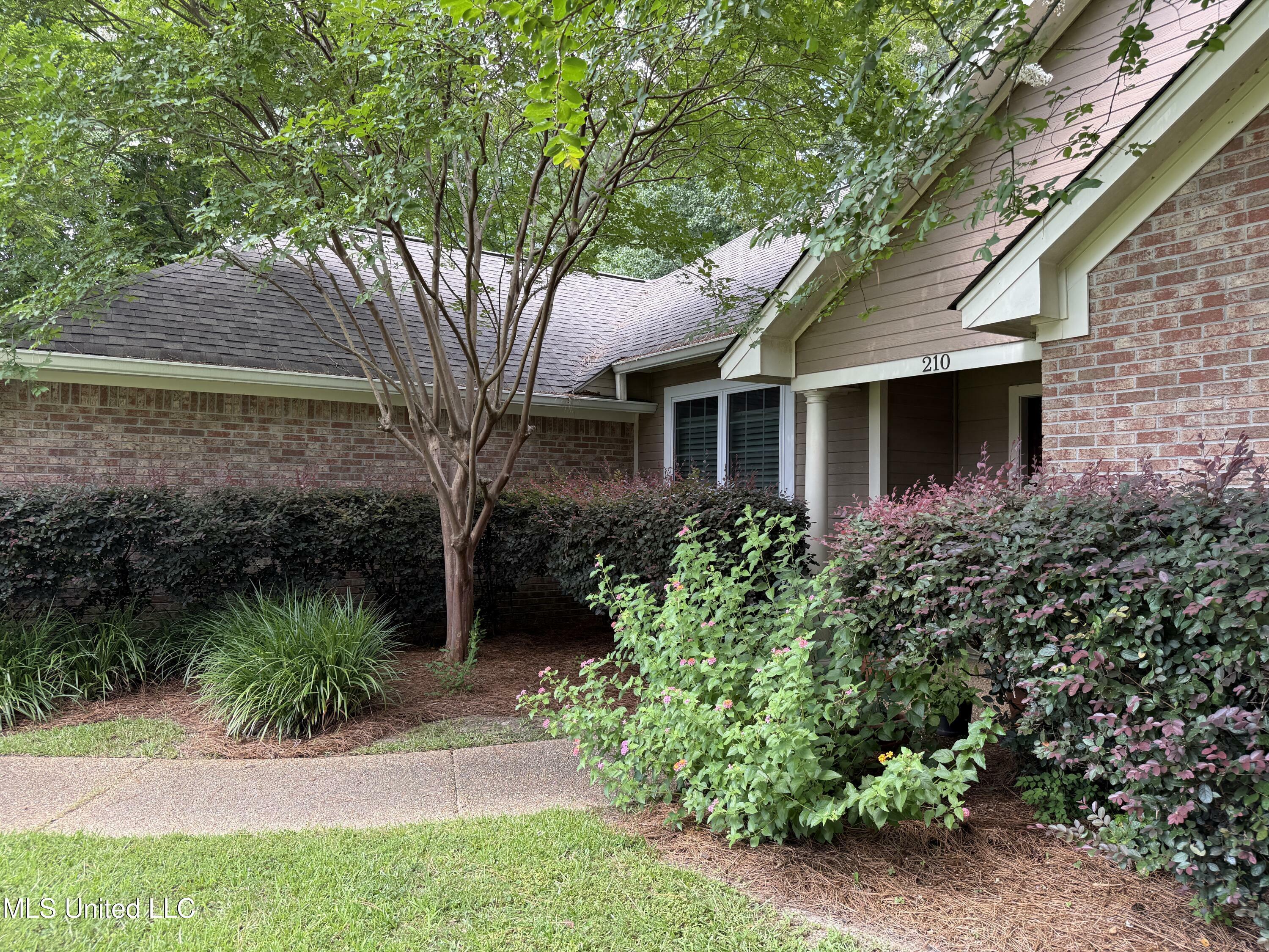 Property Photo: 210 Laurel Oak Cove MS 39047