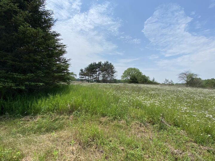 7020 Hillman Road  Six Lakes MI 48886 photo