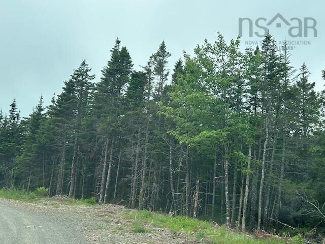 Property Photo:  Salmon River Road  NS B0E 1S0 