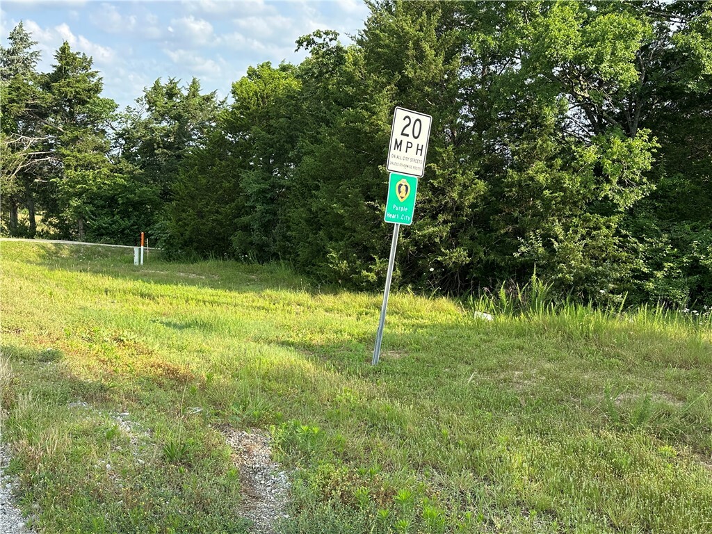 Property Photo:  Hwy 62 B  AR 72634 