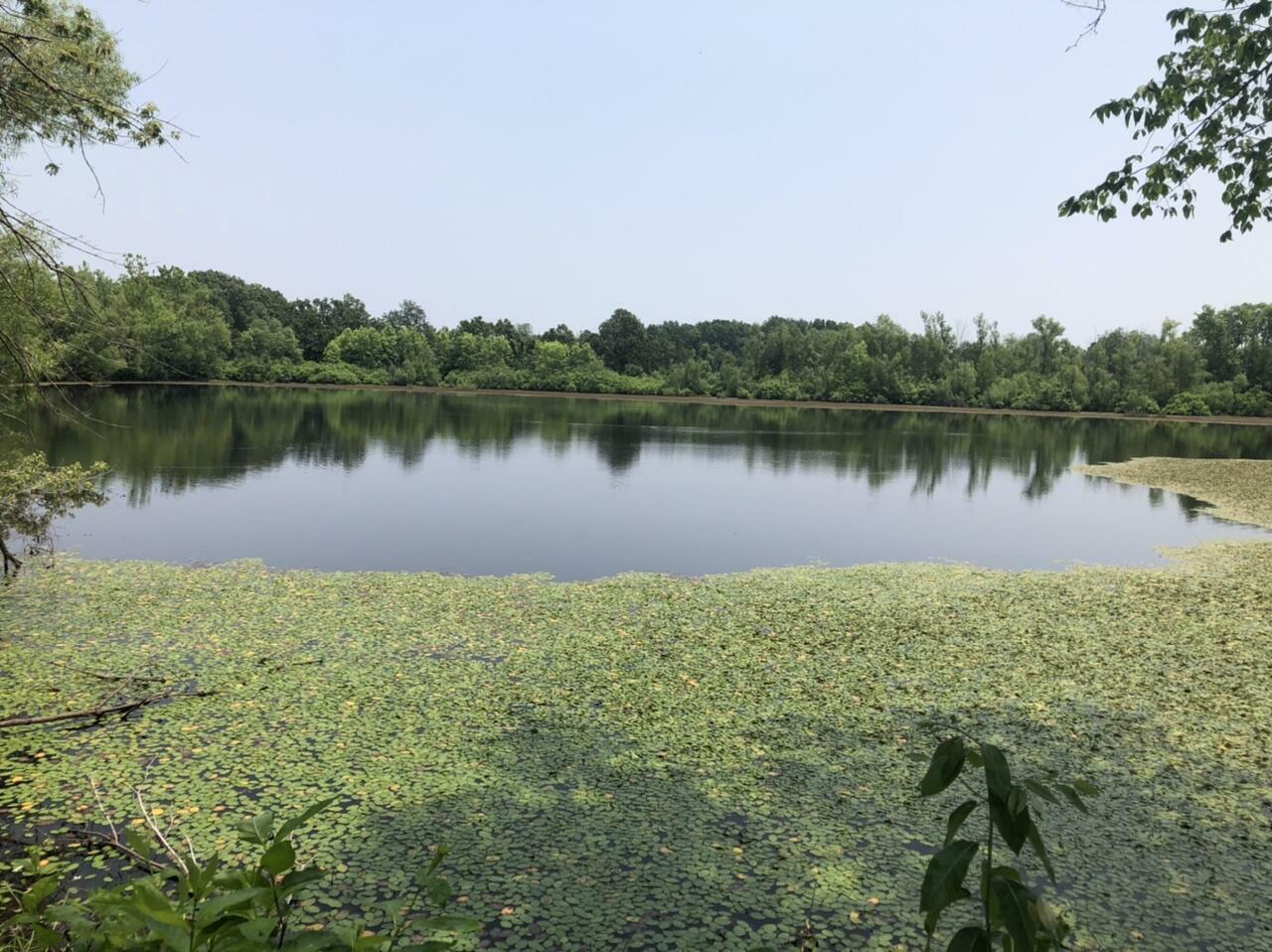 Property Photo: 676 County Road 403 MO 65606